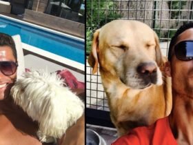 cristiano ronaldo animaux