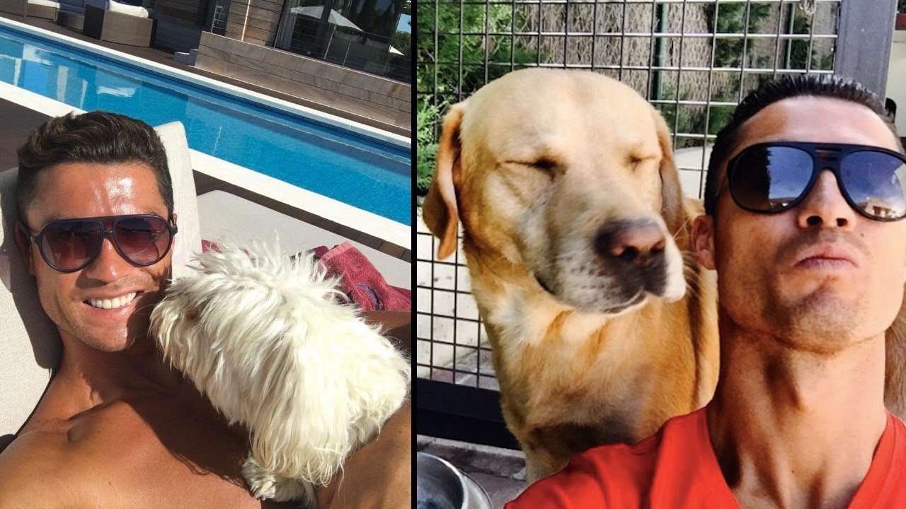 cristiano ronaldo animaux