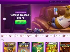 Spinbara programme de fidélité